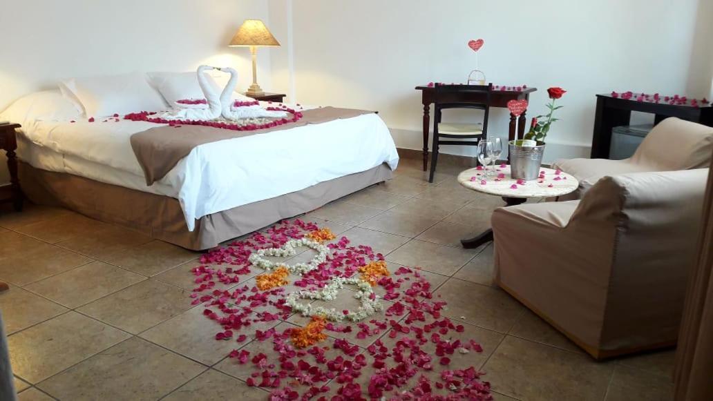 Hotel Sol De איקה מראה חיצוני תמונה
